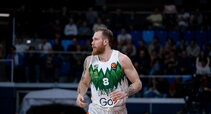 Brazdeikis