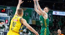 Brazdeikis