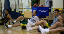 Lekavičius