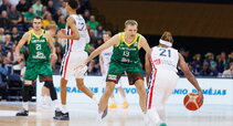 Albicy, Kariniauskas