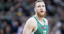 Brazdeikis