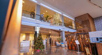 Radisson Blu Hotel
