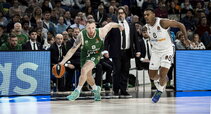 Brazdeikis