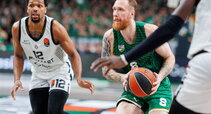 Brazdeikis