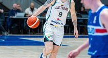 Brazdeikis