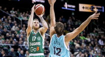 Brazdeikis