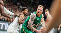 Brazdeikis