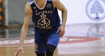 Janavičius