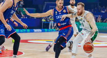 Brazdeikis