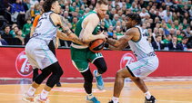 Brazdeikis