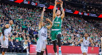 Brazdeikis