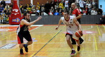 Beliavičius
