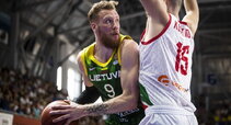 Brazdeikis