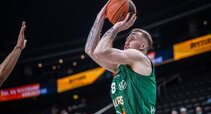 Brazdeikis