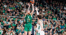 Brazdeikis