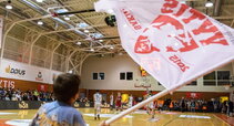 Vytis