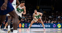Brazdeikis