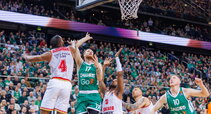 Brazdeikis