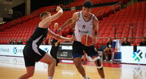 Rodriguesas