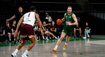 Brazdeikis