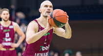 Bičkauskis