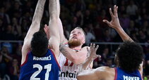 Brazdeikis