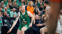 Brazdeikis
