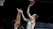 Brazdeikis
