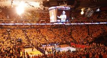 Oracle arena