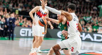 Brazdeikis