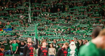 Green White Boys