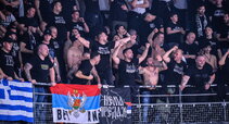 Partizan sirgaliai