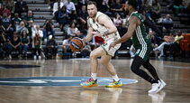 Brazdeikis