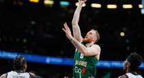 Brazdeikis