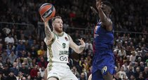 Brazdeikis