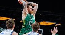 Brazdeikis