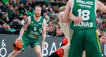 Brazdeikis