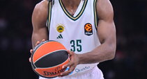 Fariedas
