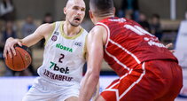 Bičkauskis