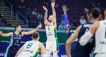 Brazdeikis