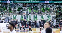 Green White Boys