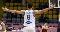 Gallinari