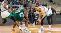 Brazdeikis