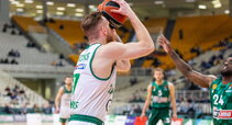 Brazdeikis