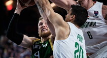 Brazdeikis