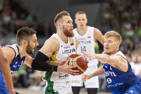 Brazdeikis