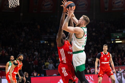 Brazdeikis