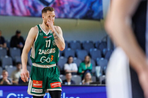 Brazdeikis