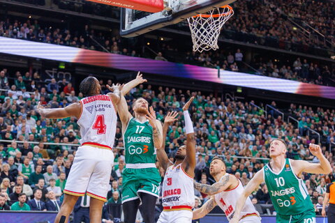 Brazdeikis