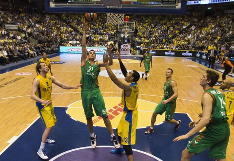 Bjelica